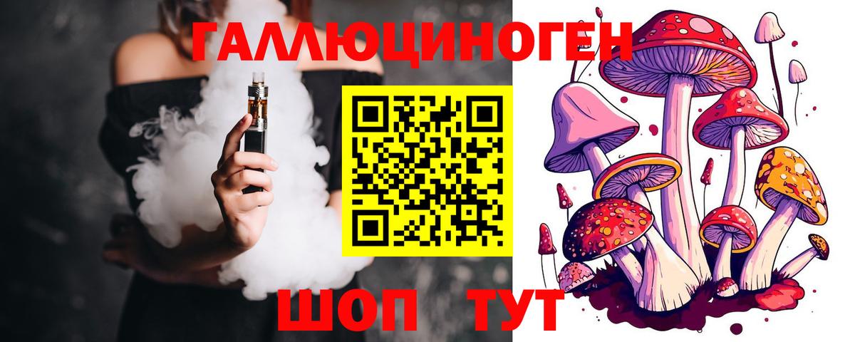 Псилоцибиновые грибы GOLDEN TEACHER  цена   Острогожск  Вход с VPN 